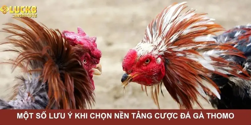 Đá Gà Thomo – Hình Thức Cá Cược Chuyên Nghiệp Nhất 2025 3 mot-so-luu-y-khi-chon-nen-tang-cuoc-da-ga-thomo